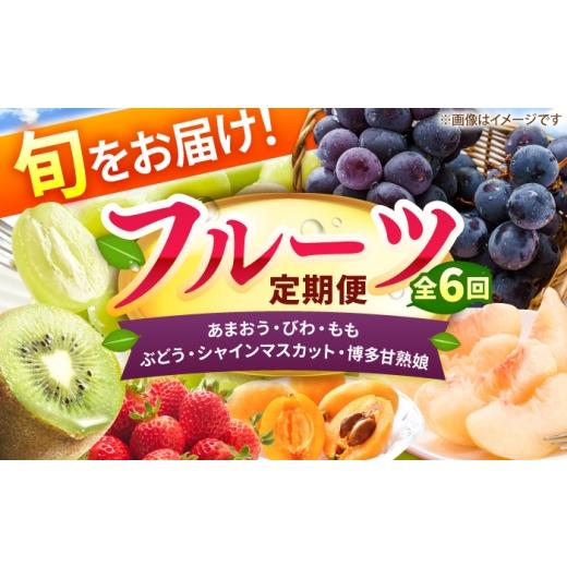 ふるさと納税 果物の詰合せ 福岡県 広川町 6回定期便 フルーツ定期便(あまおう/びわ/桃/ぶどう/シャインマスカット/キウイ) 広川町 / JAふくおか八女…