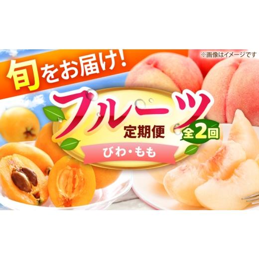 ふるさと納税 果物の詰合せ 福岡県 広川町 2回定期便 フルーツ定期便(びわ/桃) 広川町 / JAふくおか八女農産物直売所どろや