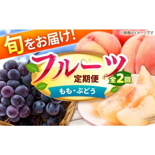 ふるさと納税 果物の詰合せ 福岡県 広川町 2回定期便 フルーツ定期便(桃/ぶどう) 広川町 / JAふくおか八女農産物直売所どろや