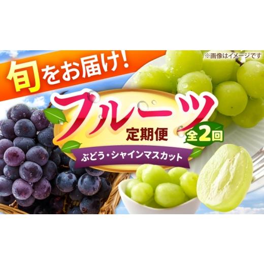 ふるさと納税 果物の詰合せ 福岡県 広川町 2回定期便 フルーツ定期便(ぶどう/シャインマスカット) 広川町 / JAふくおか八女農産物直売所どろや