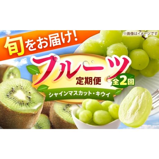 ふるさと納税 果物の詰合せ 福岡県 広川町 2回定期便 フルーツ定期便(シャインマスカット/キウイ) 広川町 / JAふくおか八女農産物直売所どろや