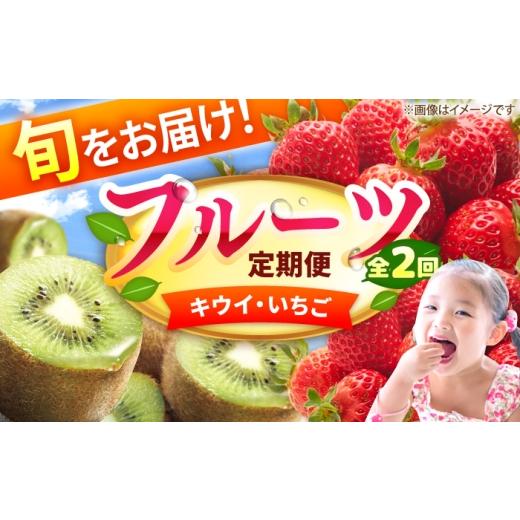 ふるさと納税 果物の詰合せ 福岡県 広川町 2回定期便 フルーツ定期便(キウイ/あまおう) 広川町 / JAふくおか八女農産物直売所どろや