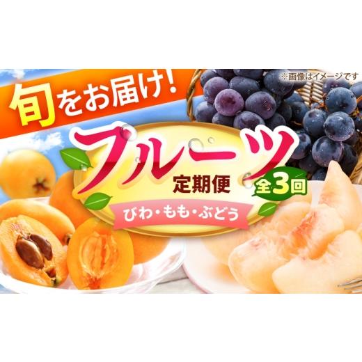 ふるさと納税 果物の詰合せ 福岡県 広川町 3回定期便 フルーツ定期便(びわ/桃/ぶどう) 広川町 / JAふくおか八女農産物直売所どろや