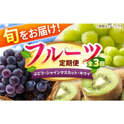ふるさと納税 果物の詰合せ 福岡県 広川町 3回定期便 フルーツ定期便(ぶどう/シャインマスカット/キウイ) 広川町 / JAふくおか八女農産物直売所どろや A…