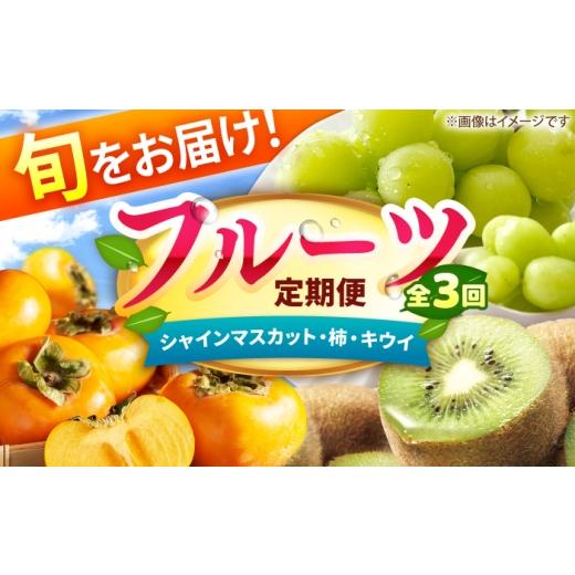 ふるさと納税 果物の詰合せ 福岡県 広川町 3回定期便 フルーツ定期便(シャインマスカット/柿/キウイ) 広川町 / JAふくおか八女農産物直売所どろや AFAB1…