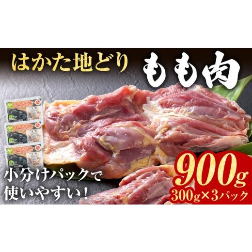 ふるさと納税 鶏肉 モモ 福岡県 志免町 鶏肉 はかた地どり もも肉 900g 300g×3パック 小分け 個包装 福岡県産 地鶏 鶏もも 冷凍 急速冷凍 凍眠 新鮮 旨み お…