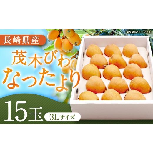 ふるさと納税 果物類 びわ 長崎県 長崎市 先行予約 茂木 びわ 『なつたより』 3Lサイズ 15玉 入り 2027年5月下旬-6月上旬発送予定 / 果物 くだもの フルーツ …