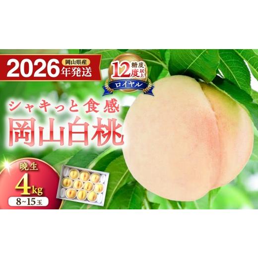 ふるさと納税 もも 岡山県 備前市 2026年発送分 岡山県産 白桃(晩生種) 最高ランク 「ロイヤル」約4kg( 8〜15玉)(令和8年8月以降発送) 2026年発送分 約…