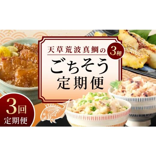 ふるさと納税 魚貝類 熊本県 天草市 S006-T03_ 定期便3回 天草荒波真鯛の3種ごちそう定期便