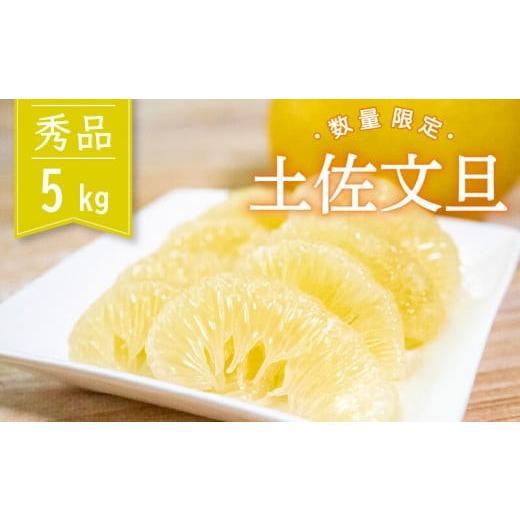 ふるさと納税 みかん・柑橘類 高知県 須崎市 土佐文旦 5kg 早期予約 家庭用 高知県産2027年2月発送開始 柑橘 フルーツ 文旦 ぶんたん ブンタン 分担 果物 み…