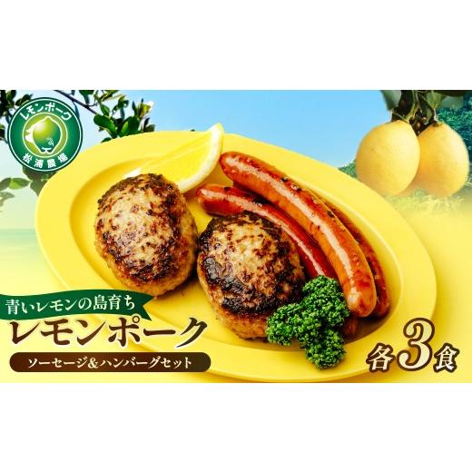 ふるさと納税 肉 ハンバーグ 愛媛県 上島町 配送エリア:北海道・沖縄・離島以外 レモンポーク ソーセージ・ハンバーグセット 各3食 合計 約1.1kg 配送エリ…
