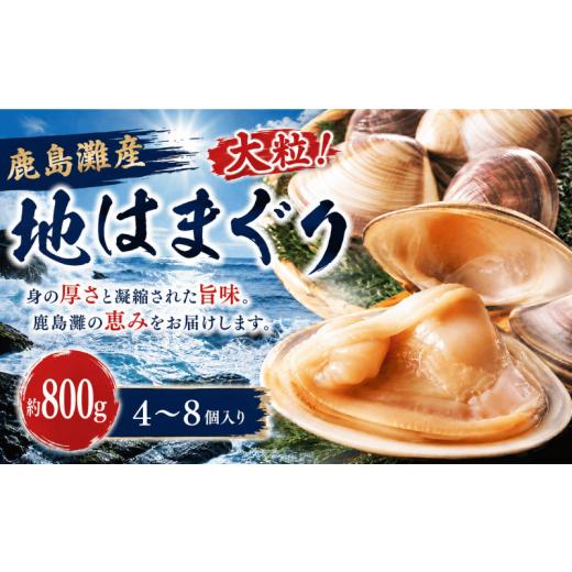 ふるさと納税 しじみ・あさり・蛤 蛤(はまぐり) 茨城県 鹿嶋市 はまぐり 800g 10000円 地はまぐり 鹿島灘産 大粒 天然 ブランド 肉厚 BBQ 4~8個 貝 貝類 か…