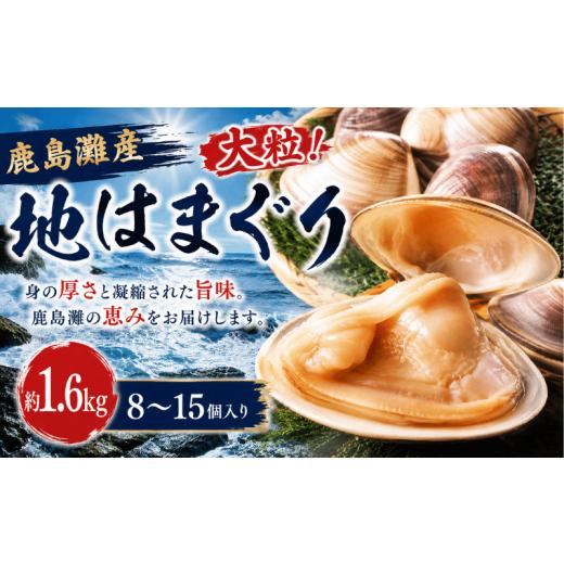 ふるさと納税 しじみ・あさり・蛤 蛤(はまぐり) 茨城県 鹿嶋市 はまぐり 1.6kg 20000円 地はまぐり 鹿島灘産 大粒 天然 ブランド 肉厚 BBQ 8~15個 貝 貝類 …