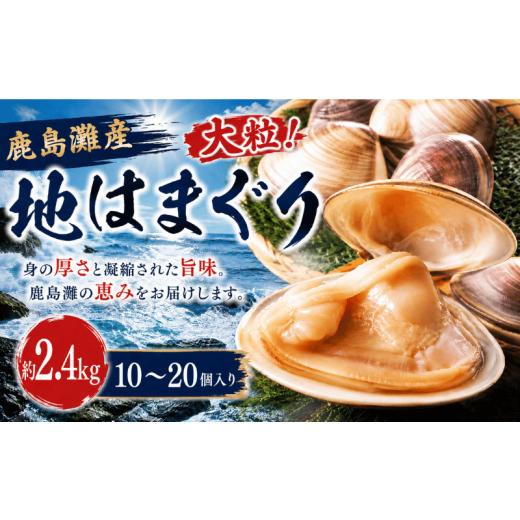 ふるさと納税 しじみ・あさり・蛤 蛤(はまぐり) 茨城県 鹿嶋市 はまぐり 2.4kg 30000円 地はまぐり 鹿島灘産 大粒 天然 ブランド 肉厚 BBQ 10~20個 貝 貝類 …