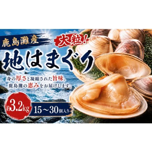 ふるさと納税 しじみ・あさり・蛤 蛤(はまぐり) 茨城県 鹿嶋市 はまぐり 3.2kg 40000円 地はまぐり 鹿島灘産 ブランド 大粒 天然 肉厚 BBQ 15~30個 貝 貝類 …