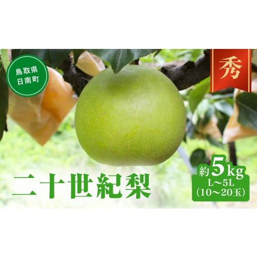 ふるさと納税 梨 鳥取県 日南町 二十世紀梨 秀5kg前後 L〜5L(10〜20玉前後) 梨 なし フルーツ 鳥取 高間商店