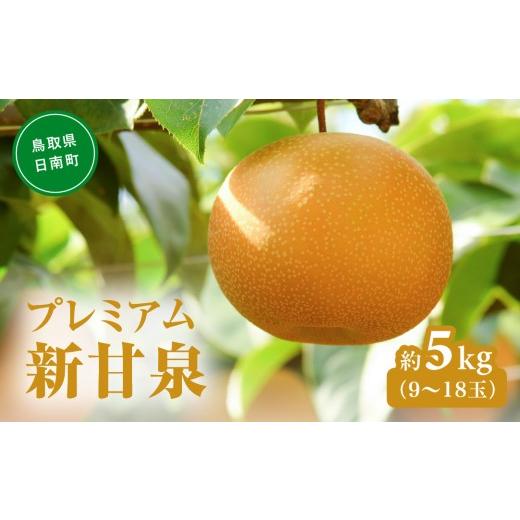 ふるさと納税 梨 鳥取県 日南町 プレミアム新甘泉(しんかんせん) 5kg前後 (9〜18玉前後) 梨 なし フルーツ 鳥取 高間商店