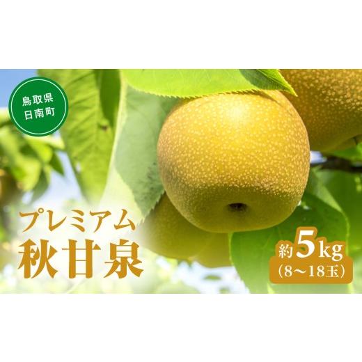 ふるさと納税 梨 鳥取県 日南町 プレミアム秋甘泉(あきかんせん) 5kg前後(8〜18玉前後) 梨 なし 果物 日南町 高間商店