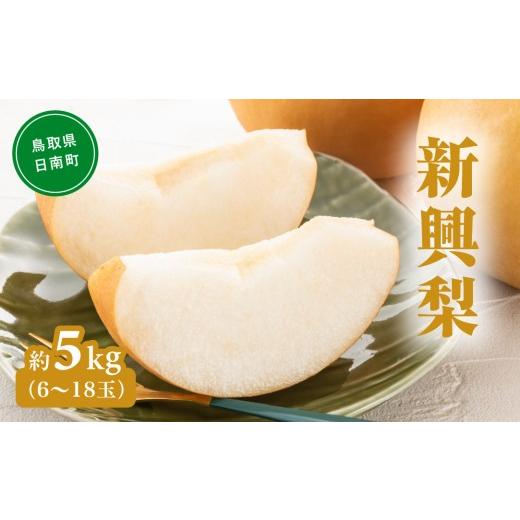 ふるさと納税 梨 鳥取県 日南町 新興梨(しんこうなし) 5kg(6〜18玉前後) 梨 なし 果物 日南町 高間商店