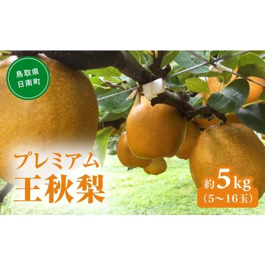 ふるさと納税 梨 鳥取県 日南町 プレミアム王秋梨 5kg(5〜16玉前後) 梨 なし 果物 フルーツ 日南町 高間商店