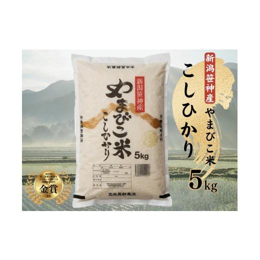 ふるさと納税 米 コシヒカリ 新潟県 阿賀野市 令和7年産 コシヒカリ「やまびこ米」 5kg 玄米黒酢農法 金賞受賞 特別栽培米 白米 精米 農家直送 新潟県 米 こ…