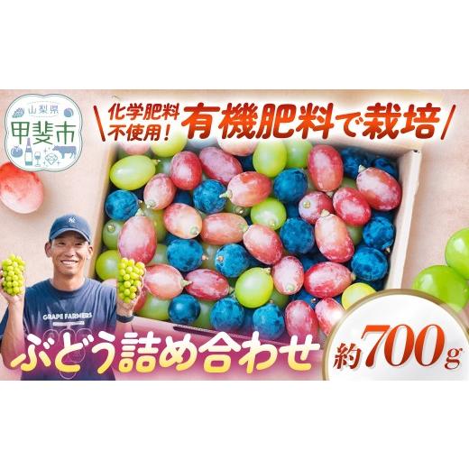 ふるさと納税 ぶどう 山梨県 甲斐市 旬の彩り 粒ぶどう 詰め合わせ 700g 葡萄 フルーツ 果物 山梨 ぶどう 高級 フルーツ ギフト フルーツ シャインマスカット …