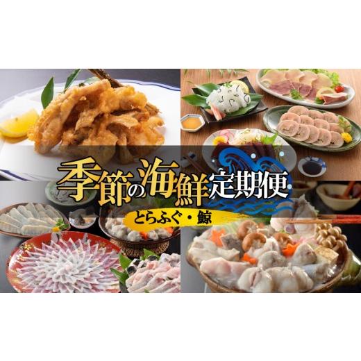 ふるさと納税 フグ 山口県 下関市 とらふぐ 鯨 季節の定期便 トラフグ くじら セット 4回お届け ふぐ アラ唐揚げ 刺身 ふぐちり ちり鍋 刺し身 唐揚げ 鯨の詰…