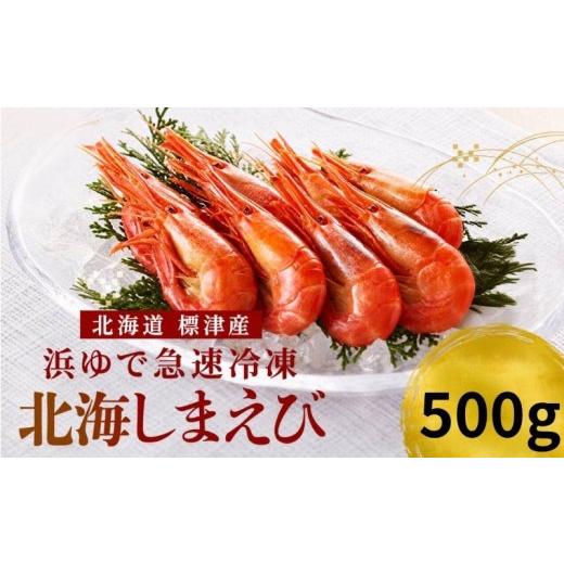 ふるさと納税 エビ 北海道 標津町 令和8年新物 北海しまえび 500g 国産 旬 新鮮 厳選 人気 おすすめ 冷凍 北海シマエビ ホッカイシマエビ しまえび シマエビ …
