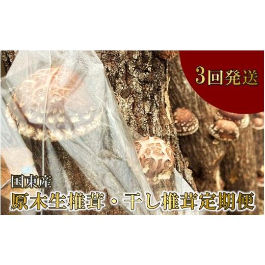 ふるさと納税 乾物 干ししいたけ 大分県 国東市 先行予約 原木生椎茸と干し椎茸の定期便 計3回発送 しいたけ シイタケ 国産 大分県_2768R-2 計3回発送