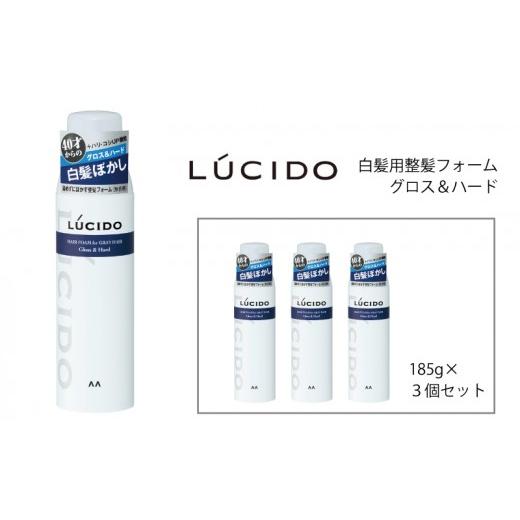 ふるさと納税 美容 兵庫県 福崎町 マンダム ルシード 白髪用整髪フォーム グロス&ハード 185g×3個セット MA-102 3個