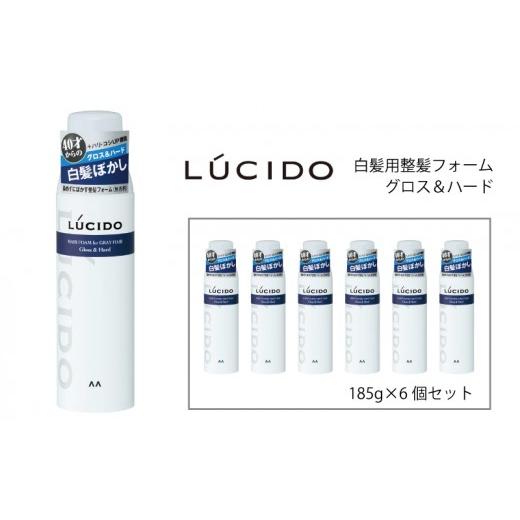 ふるさと納税 美容 兵庫県 福崎町 マンダム ルシード 白髪用整髪フォーム グロス&ハード 185g×6個セット MA-102B 6個