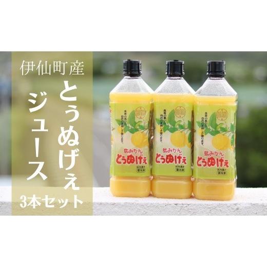 ふるさと納税 果汁飲料 みかん 鹿児島県 伊仙町 島みかんとぅぬげぇジュース 3本セット