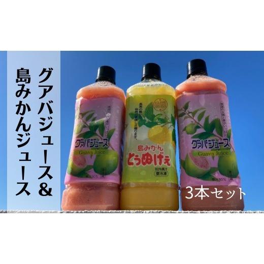 ふるさと納税 果汁飲料 みかん 鹿児島県 伊仙町 グァバ&amp;島みかんジュース 3本セット