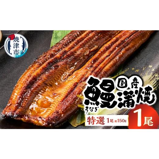 ふるさと納税 うなぎ 静岡県 焼津市 a10-1293 特選 国産うなぎ蒲焼 約150g
