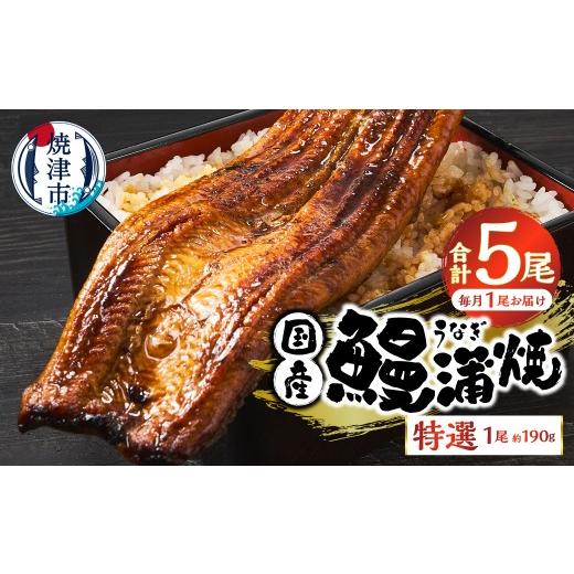ふるさと納税 うなぎ 静岡県 焼津市 a60-043 定期便 5回 特選 国産うなぎ蒲焼定期便 約190g×5回