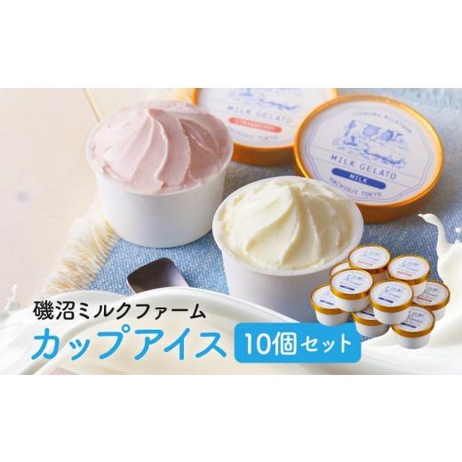 ふるさと納税 加工品等 東京都 八王子市 磯沼ミルクファーム カップアイス10個セット(2種各5個)