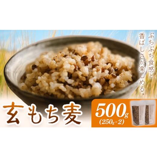 ふるさと納税 雑穀 千葉県 我孫子市 もち麦 玄もち麦 500g(250g×2) 自然野菜のら[30日以内に出荷予定(土日祝除く)]千葉県 我孫子市 もち麦 玄もち麦 ダイシ…