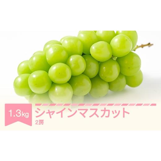 ふるさと納税 ぶどう マスカット 山形県 村山市 シャインマスカット 秀品 2房(1.3kg以上) 令和8年産 2026年産 山形県村山市産 nb-busmx2