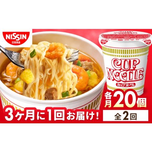 ふるさと納税 加工品等 レトルト 滋賀県 栗東市 全2回定期便 3か月おきにお届け カップヌードル (1ケース20食入)/ カップヌードル 定期便 日清 ラーメン …