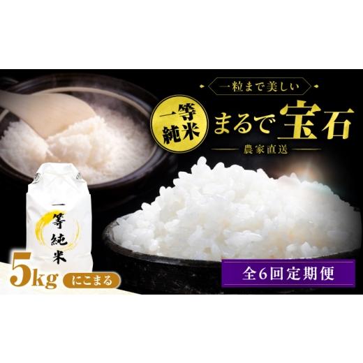 ふるさと納税 米 にこまる 愛知県 稲沢市 6回定期便 一等純米 にこまる 5kg / 米 お米 精米 白米 一等米 愛知県産 国産米 / 稲沢市 / 有限会社ハシモト耕…