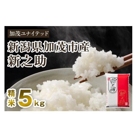 ふるさと納税 米 新潟県 加茂市 寄附額見直し 令和7年産 新潟県産 新之助 精米 5kg(5kg×1袋)[順次出荷] 東京・南青山の料亭で使用される極上米 加茂市 …