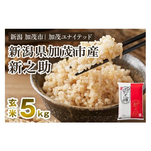 ふるさと納税 玄米 新潟県 加茂市 寄附額見直し 令和7年産 新潟県産 新之助 玄米5kg(5kg×1袋)[順次出荷] 新潟 ブランド米 加茂市 加茂ユナイテッド