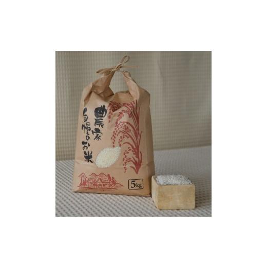 ふるさと納税 米 愛知県 武豊町 わっぱのお米5kg(低農薬豊こしひかり)│おこめ ごはん コシヒカリ 白米