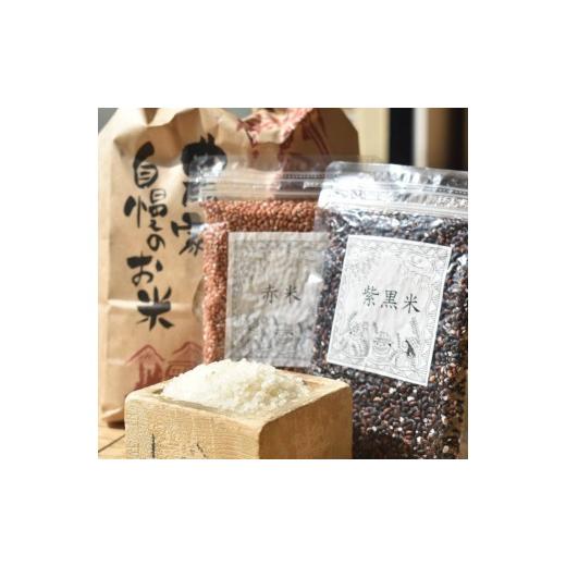 ふるさと納税 玄米 愛知県 武豊町 お米セット│コシヒカリ 黒米 赤米 もち米