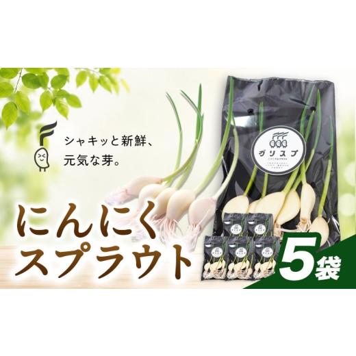 ふるさと納税 野菜類 千葉県 我孫子市 にんにくスプラウト 5袋 株式会社ANELA GROW [30日以内に出荷予定(土日祝除く)]千葉県 我孫子市 にんにく 水耕栽培 ギ…