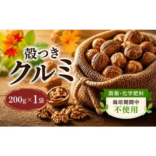 ふるさと納税 果物類 長野県 塩尻市 2025年秋収穫 殻つきクルミ 200g?1袋 [農薬・化学肥料 栽培期間中不使用] | くるみ クルミ 胡桃 殻つき プレゼント ギ…