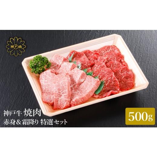 ふるさと納税 牛肉 焼肉・バーベキュー 兵庫県 豊岡市 神戸牛 焼肉 赤身 &amp; 霜降り 特選 食べ比べセット 500g / 焼肉 焼肉用 赤身 もも モモ 霜降り 肩ロ…