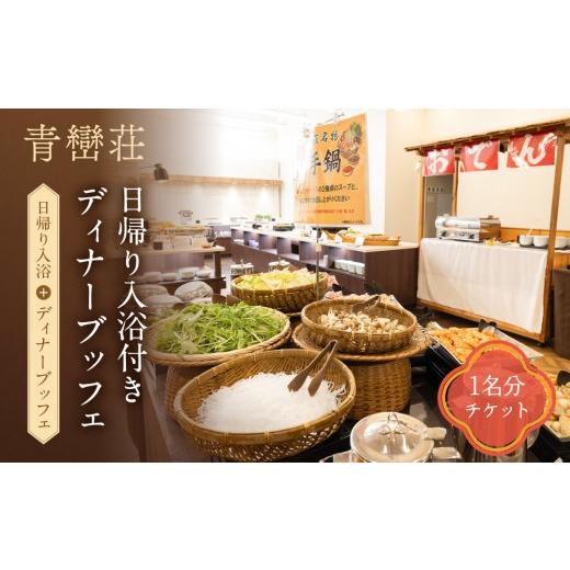 ふるさと納税 お食事券 神奈川県 湯河原町 青巒荘 日帰り入浴付きディナーブッフェ(予約制)