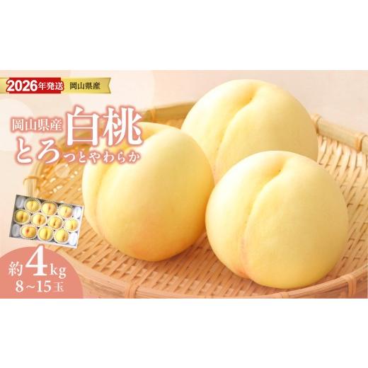 ふるさと納税 もも 岡山県 備前市 2026年発送分 岡山県産 白桃 約4kg(8〜15玉)(令和8年7月以降発送) 2026年発送分