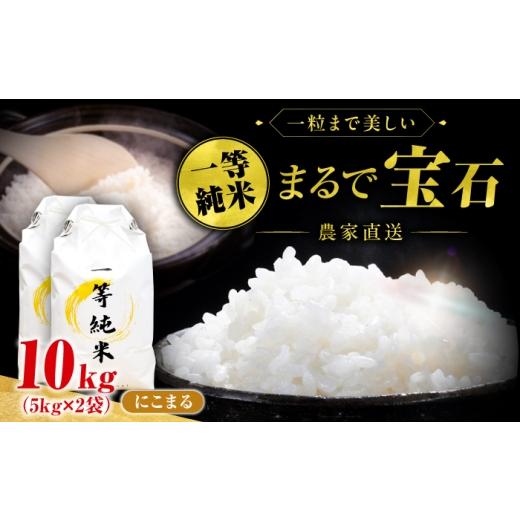 ふるさと納税 米 にこまる 愛知県 稲沢市 10月発送 一等純米 にこまる 10kg / 有限会社ハシモト耕販 10月発送